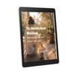 The Identity Reset Workbook
