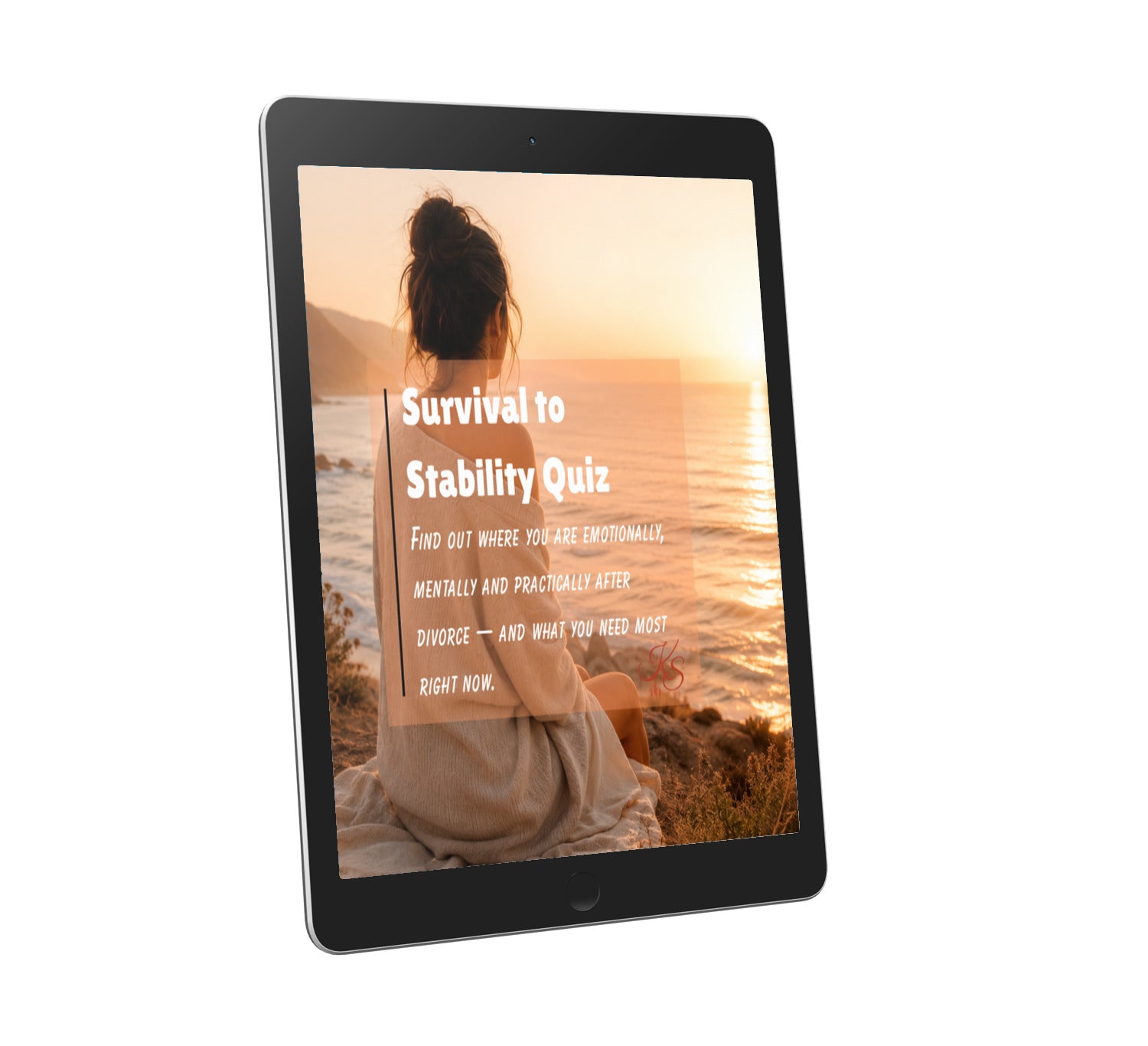 Survival to Stability FREE Quiz